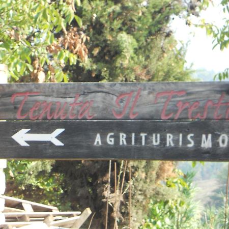 Tenuta Il Tresto Поджибонси Екстериор снимка