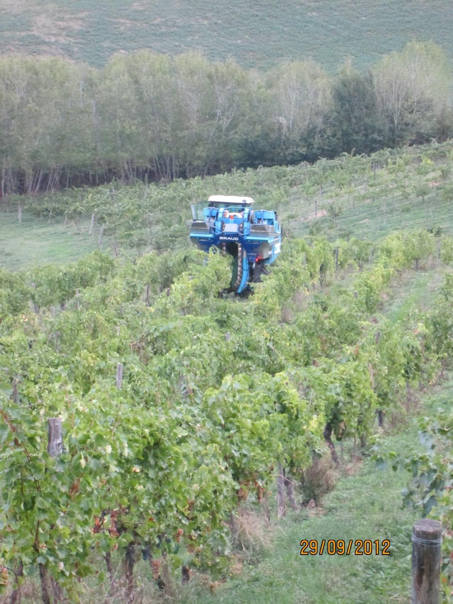 Tenuta Il Tresto Поджибонси Екстериор снимка